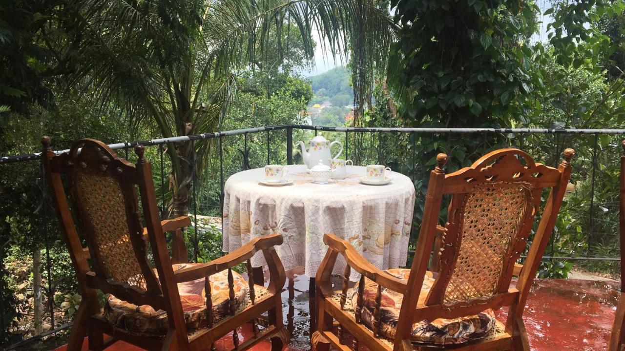 Kandy Shady Trees Villa Zewnętrze zdjęcie