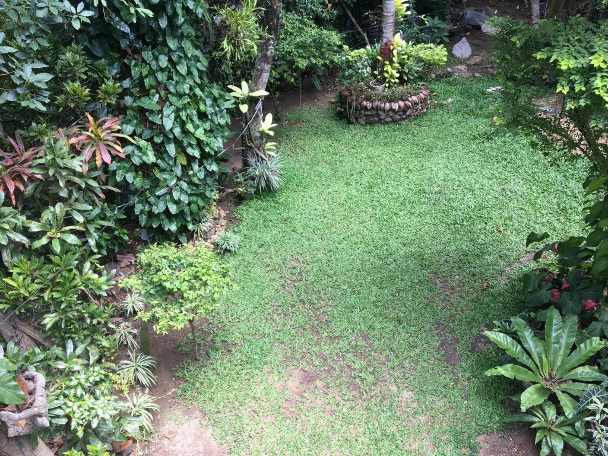 Kandy Shady Trees Villa Zewnętrze zdjęcie